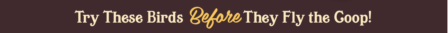 Summer_LTO_Banner_Desktop