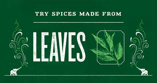 EZ_14487_SpiceBazaar_LandingPage_Leaves3