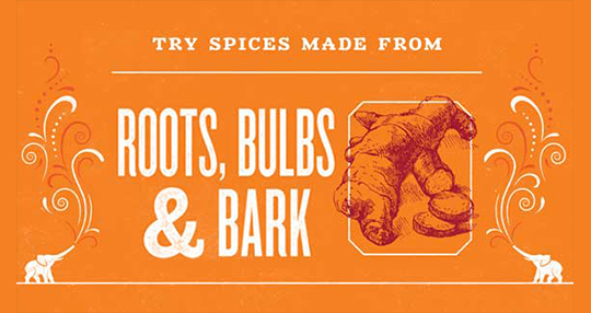 EZ_14487_SpiceBazaar_LandingPage_Roots3